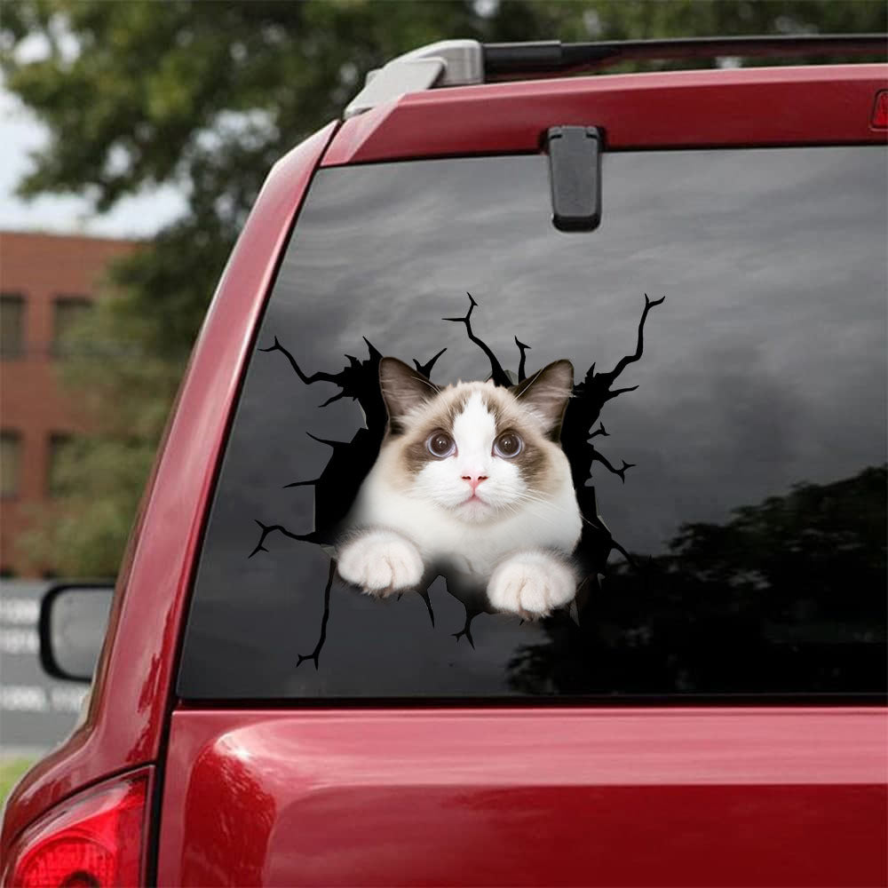 Ragdoll Cat Decal For Car Super Cute Bee Stickers