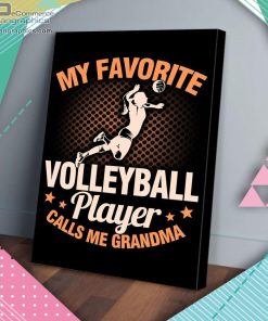 my favorite volleyball player matte wall art canvas and poster 05B8Q