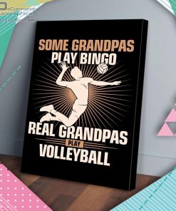 real grandpas play volleyball matte wall art canvas and poster jVf3B
