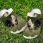 mexican rooster crocs clogs shoes 1 3oj1J