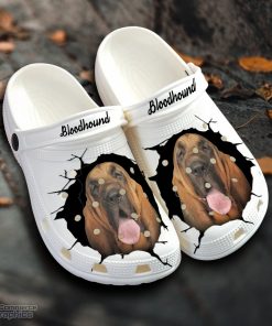 bloodhound custom name crocs shoes love dog crocs 1 bwnerx