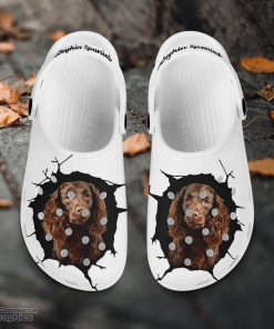 boykin spaniel custom name crocs shoes love dog crocs 2 rzeby5