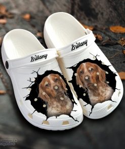 brittany custom name crocs shoes love dog crocs 1 qgppae