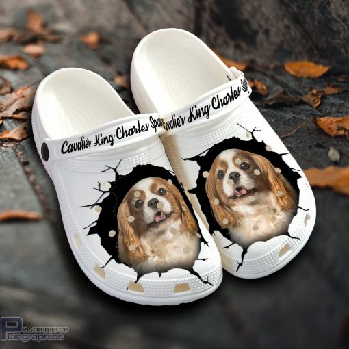cavalier king charles spaniel custom name crocs shoes love dog crocs 1 mckstr