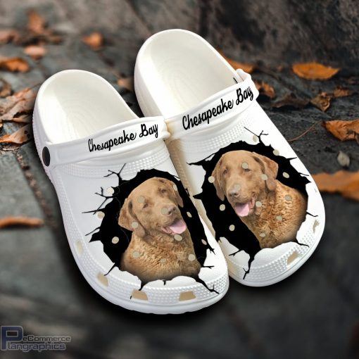 chesapeake bay custom name crocs shoes love dog crocs 1 xoa77p