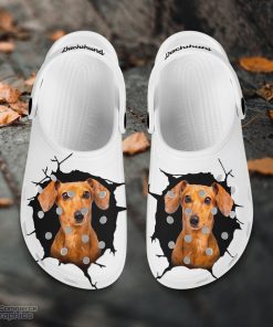 dachshund custom name crocs shoes love dog crocs 2 frpq5q