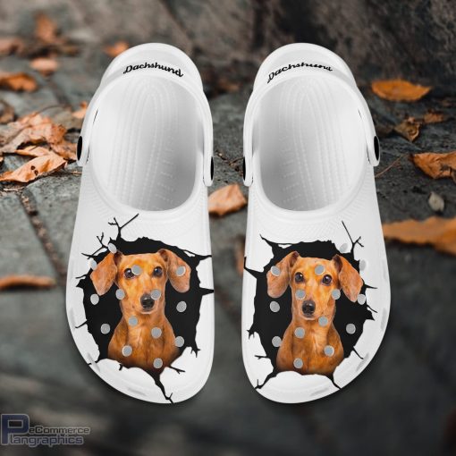 dachshund custom name crocs shoes love dog crocs 2 frpq5q