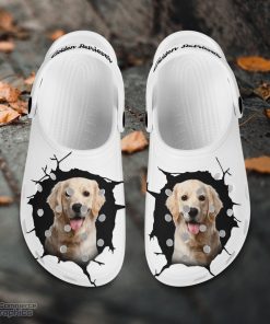 golden retriever custom name crocs shoes love dog crocs 2 xhd63f