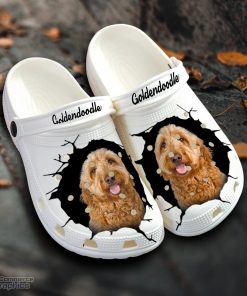 goldendoodle custom name crocs shoes love dog crocs 1 ebwlpm