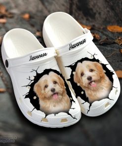 havanese custom name crocs shoes love dog crocs 1 b4apmw
