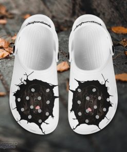 newfoundland custom name crocs shoes love dog crocs 2 lxkrsp