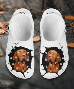 vizsla custom name crocs shoes love dog crocs 2 cnmheo
