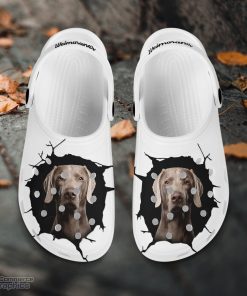 weimaraner custom name crocs shoes love dog crocs 2 fiwz47
