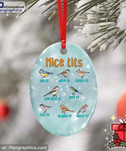 Nice Tits, Watching Small Birding Christmas Ceramic Ornament