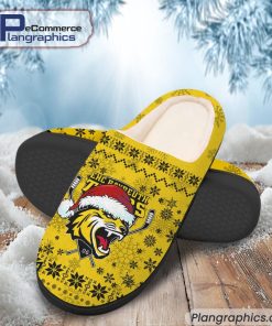 bayreuth-tigers-eishockey-team-in-house-slippers-1