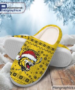 bayreuth-tigers-eishockey-team-in-house-slippers-2