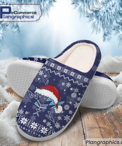 dresdner-eislowen-eishockey-team-in-house-slippers-2