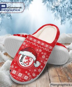 dusseldorfer-eg-eishockey-team-in-house-slippers-2