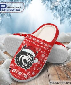 ehc-freiburg-eishockey-team-in-house-slippers-2