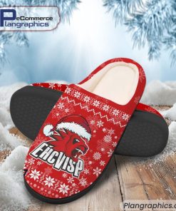 ehc-visp-national-league-team-printed-in-house-slippers-2
