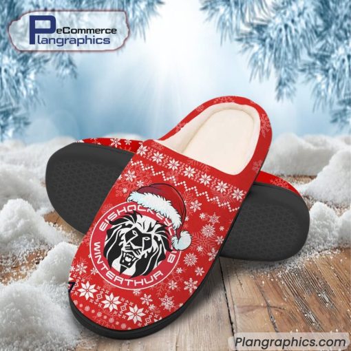 ehc-winterthur-national-league-team-printed-in-house-slippers-2