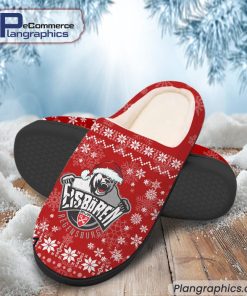 eisbaren-regensburg-eishockey-team-in-house-slippers-1