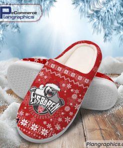 eisbaren-regensburg-eishockey-team-in-house-slippers-2