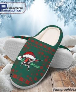 starbulls-rosenheim-eishockey-team-in-house-slippers-2