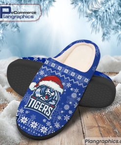 straubing-tigers-eishockey-team-in-house-slippers-1