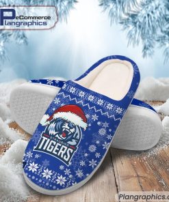 straubing-tigers-eishockey-team-in-house-slippers-2